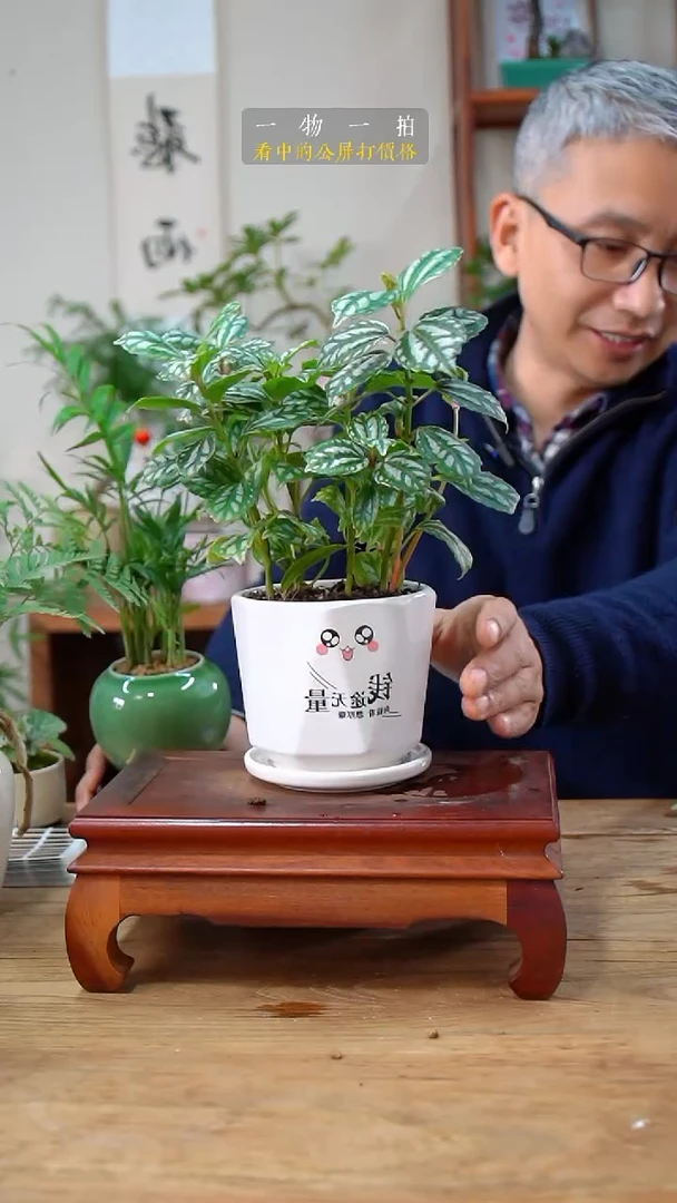 完全开放玩****y冰水花483