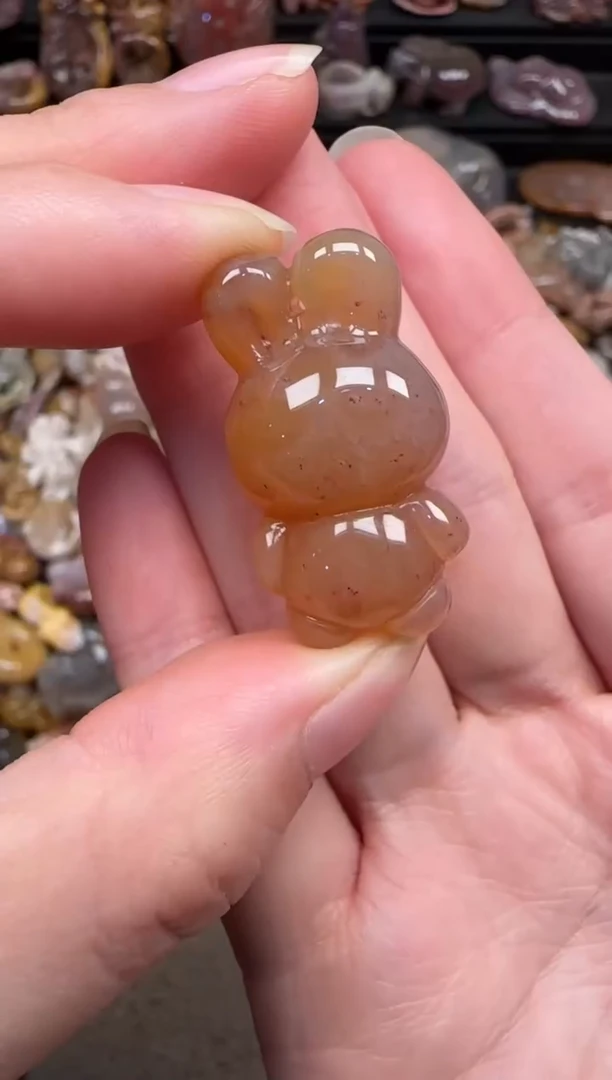 颈饰未镶嵌硅化珊瑚（珊瑚玉）156