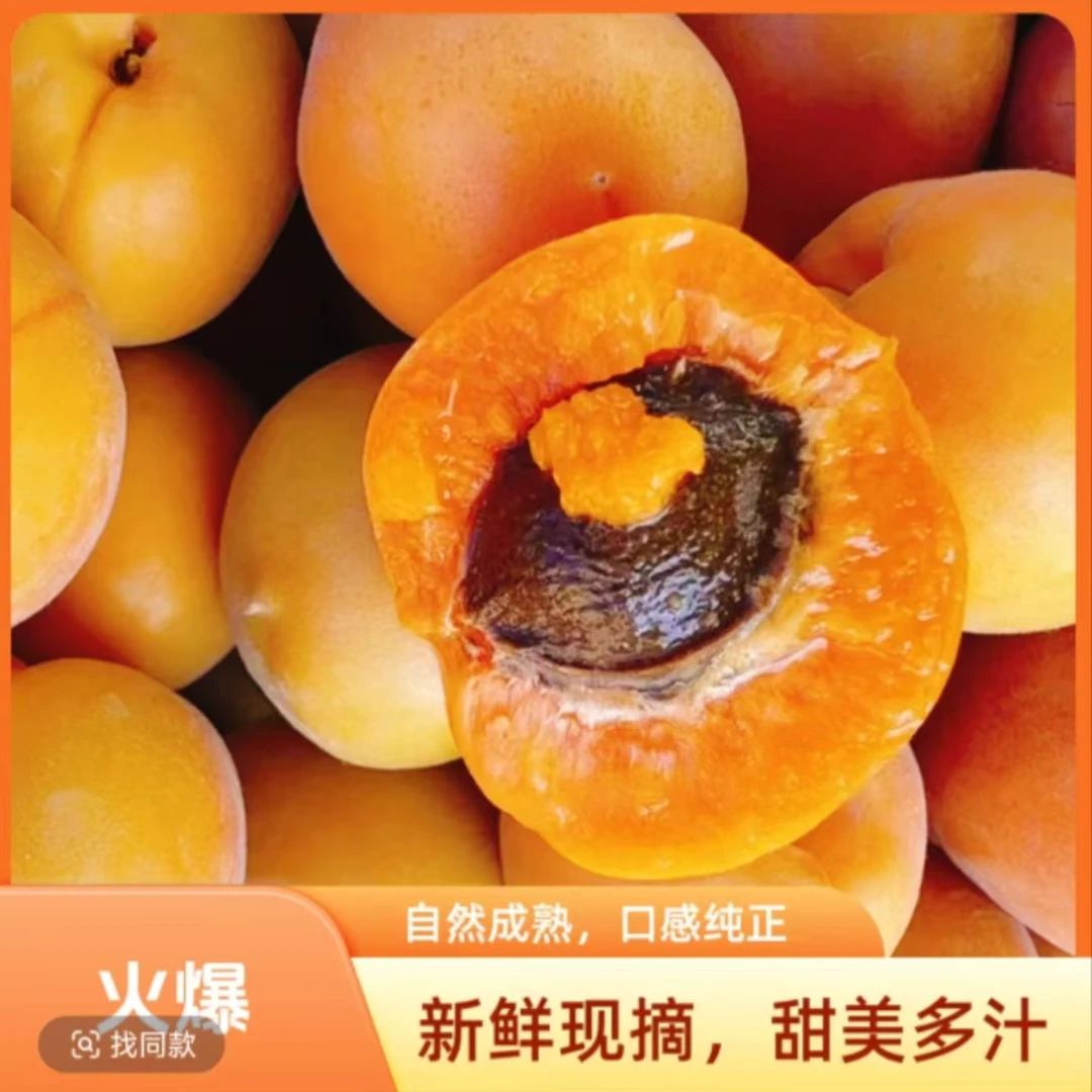 新疆正宗树熟吊干杏小红杏新鲜应季水果香甜多汁现摘杏子新疆维吾尔自治区