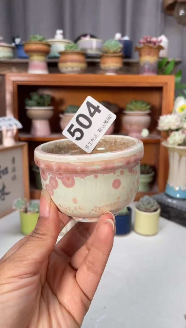 瓷片504小芳直播编号