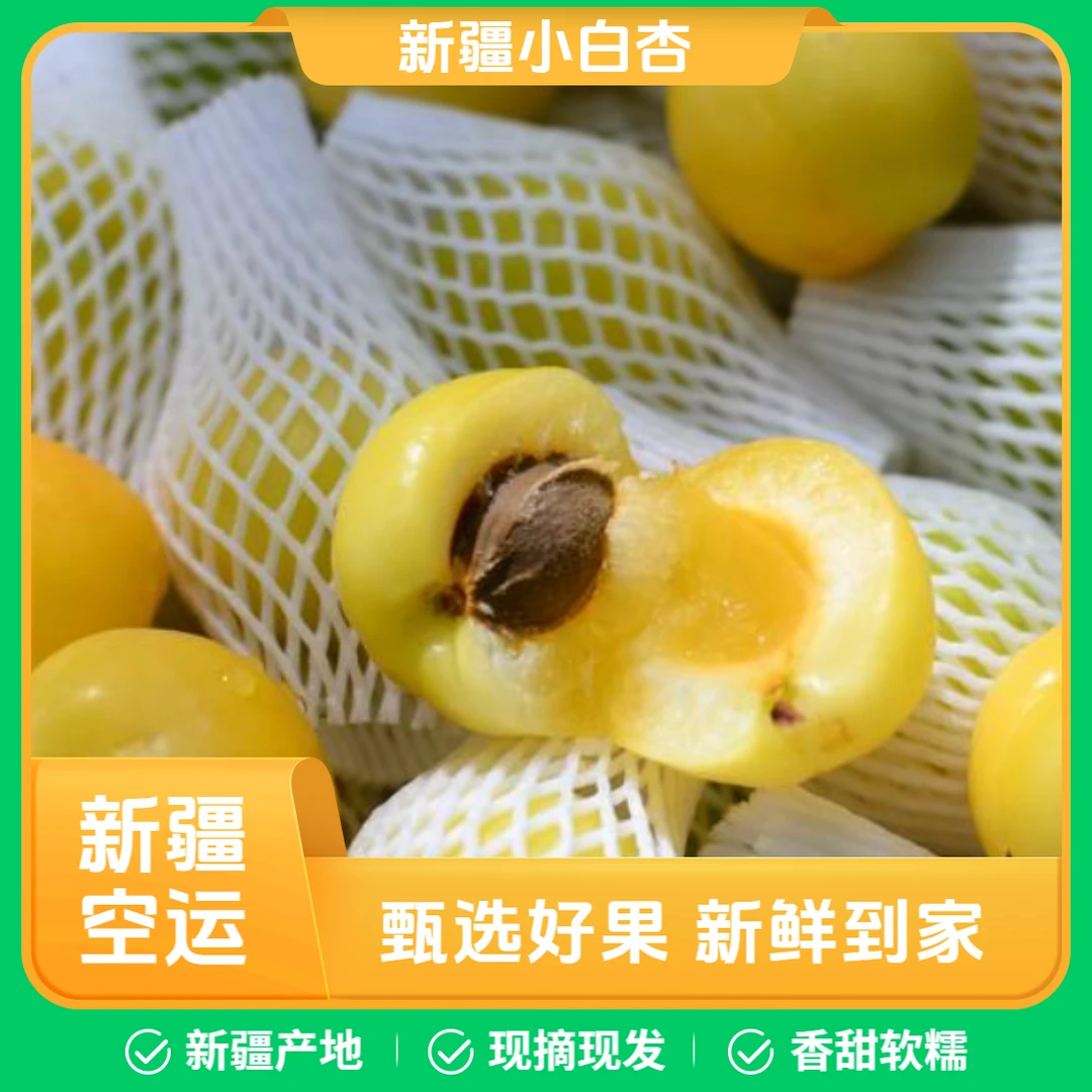【新疆空运】正宗新疆小白杏新鲜应季水果饱满多汁包邮空运杏子