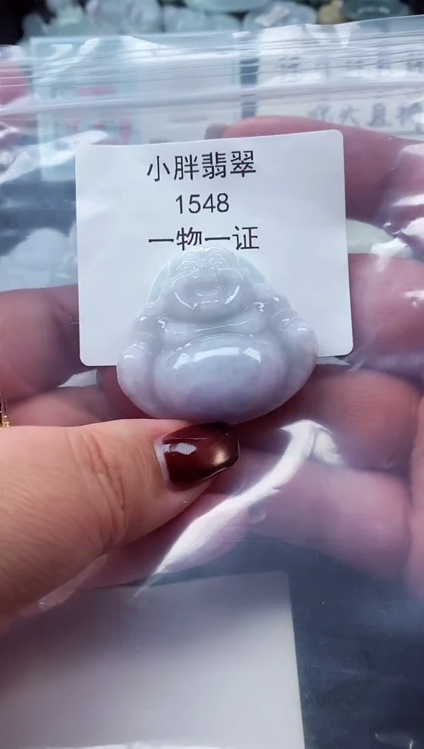 颈饰未镶嵌翡翠缅甸天然A货翡翠1548