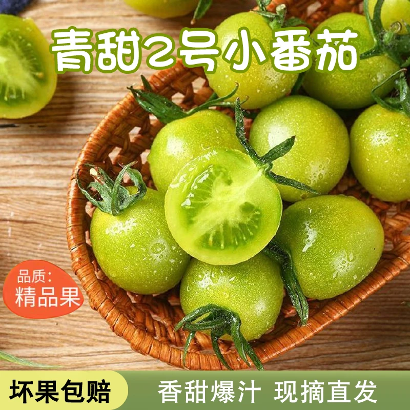 正宗青甜2号小番茄现摘直发绿色圣女果青口蜜香甜爆汁绿翡翠水果