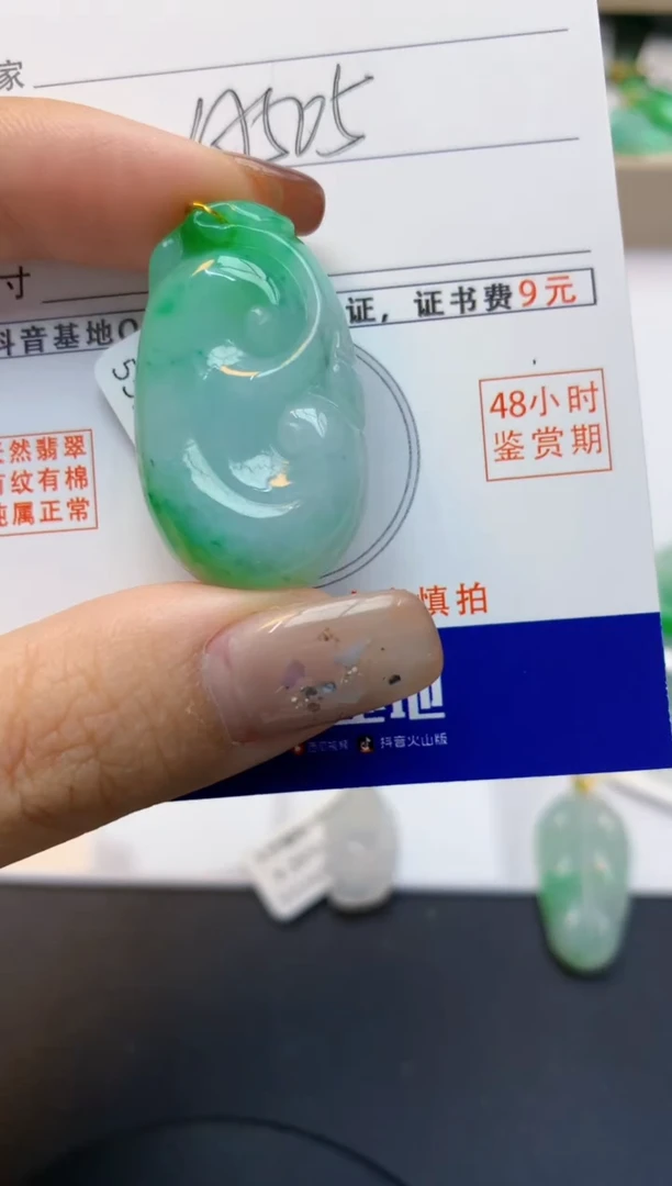 颈饰未镶嵌翡翠天然A货翡翠百元以上9元证书费自理