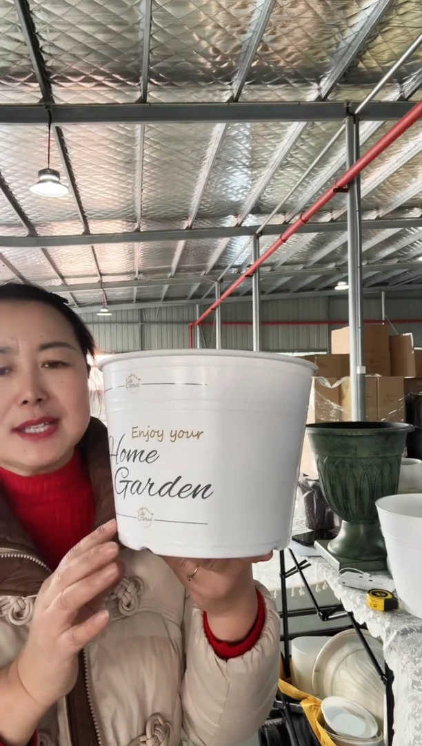 【闪购商品】塑料8寸罗斯玛丽白色印花4套装