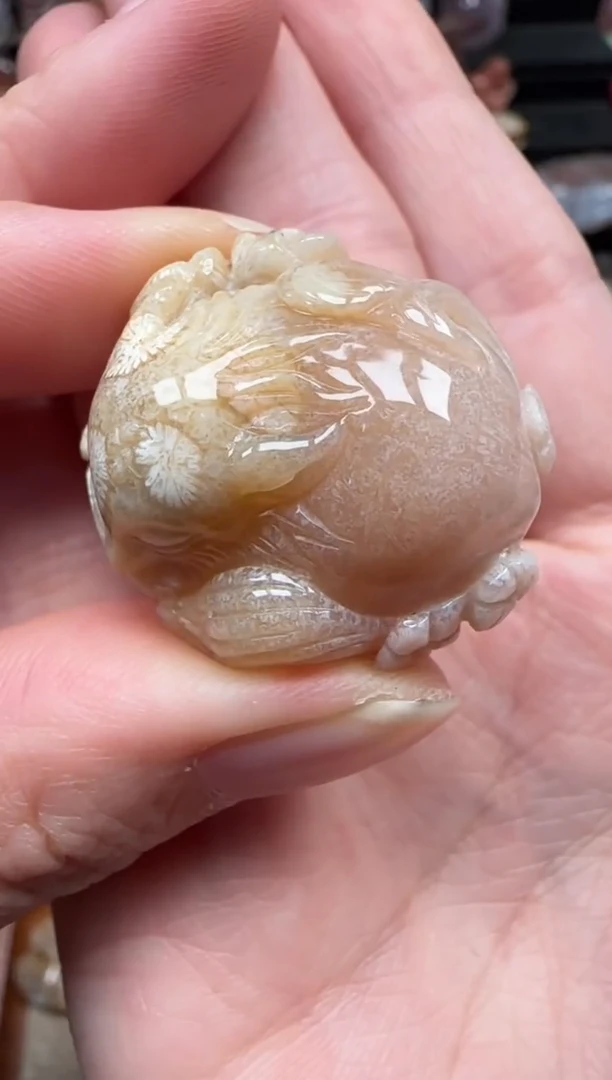 颈饰未镶嵌硅化珊瑚（珊瑚玉）371