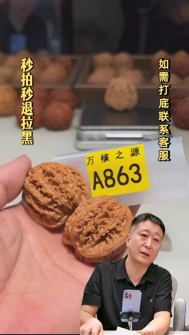 吊坠文玩核桃A863九龙筋41
