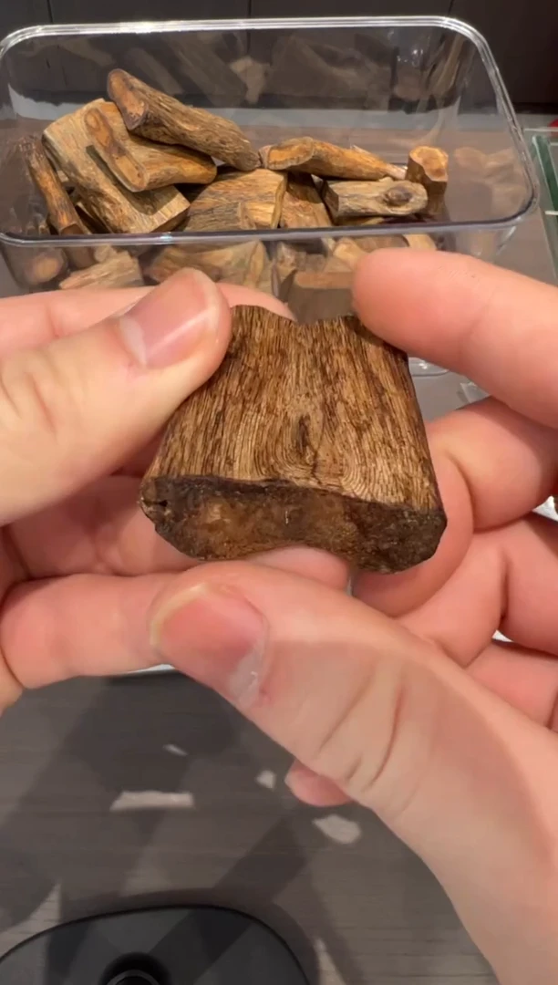 沉香沉香碎屑3号奇楠沉香多样性发一条