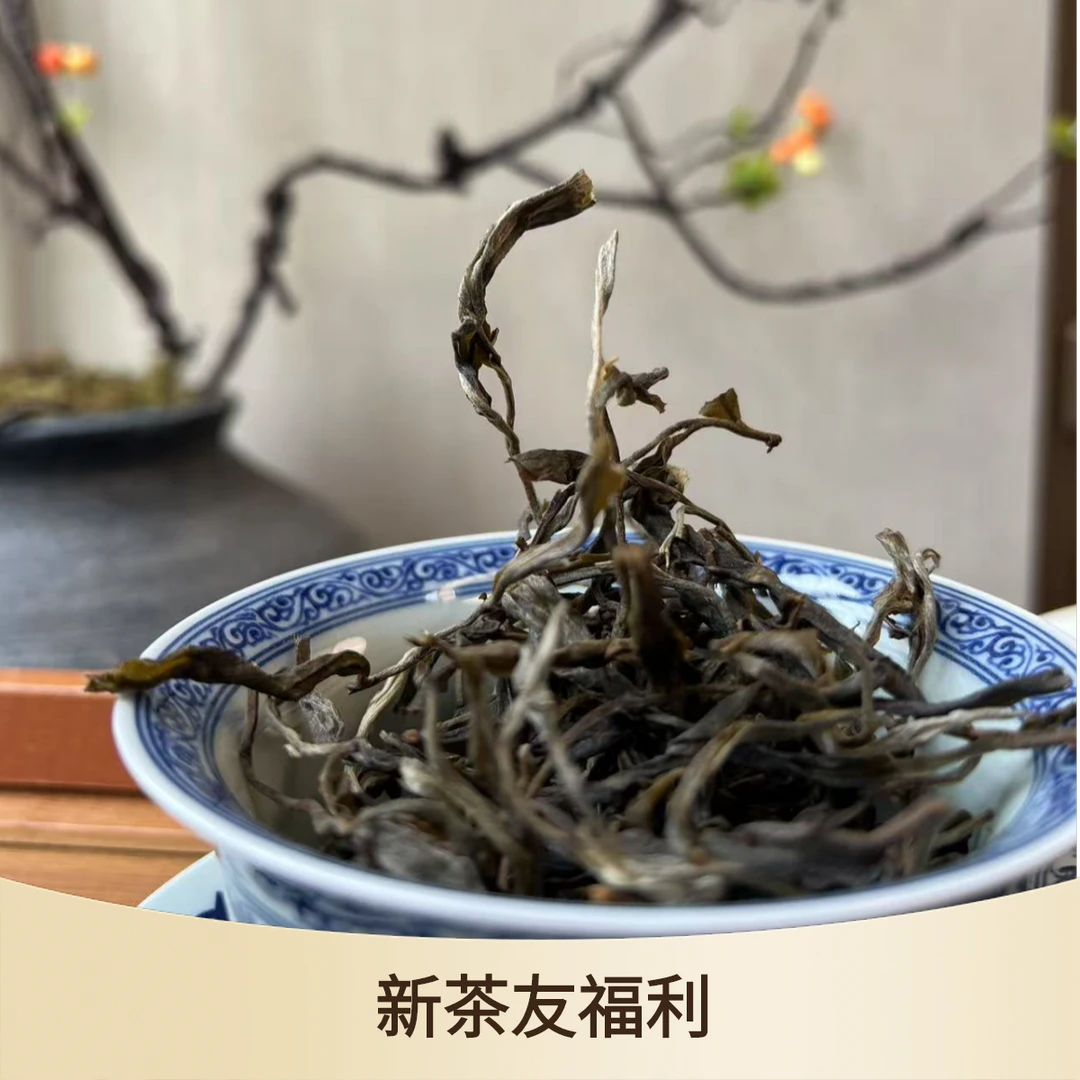 砚边茶渔 | 云南普洱茶2025年头春冰岛南迫古树普洱茶