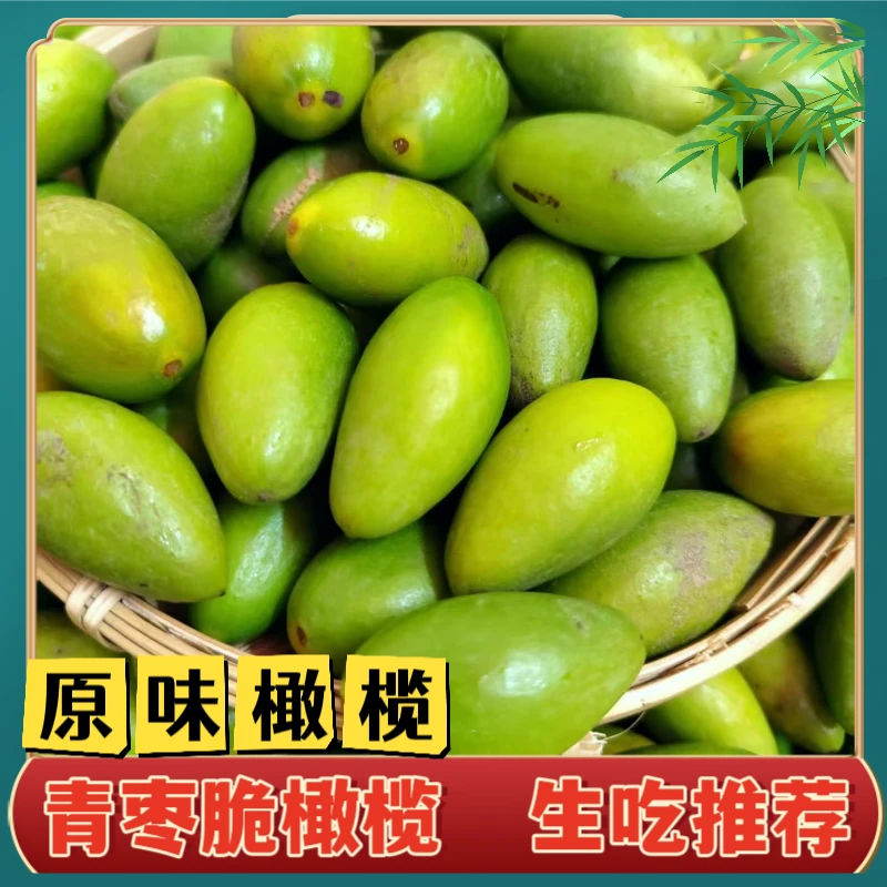 2斤13块8青枣脆橄榄2号橄榄生吃回甘清香煲汤榨汁泡酒腌制500克