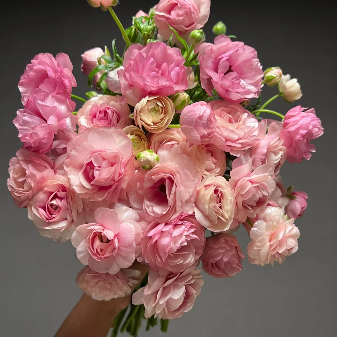 （牛家甄选）AA级水蜜桃蝴蝶洋牡丹 云南基地现采现发 一单也包邮