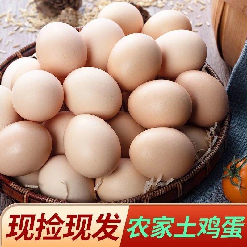 【B农场补贴】新鲜粉壳土鸡蛋50枚现捡现发