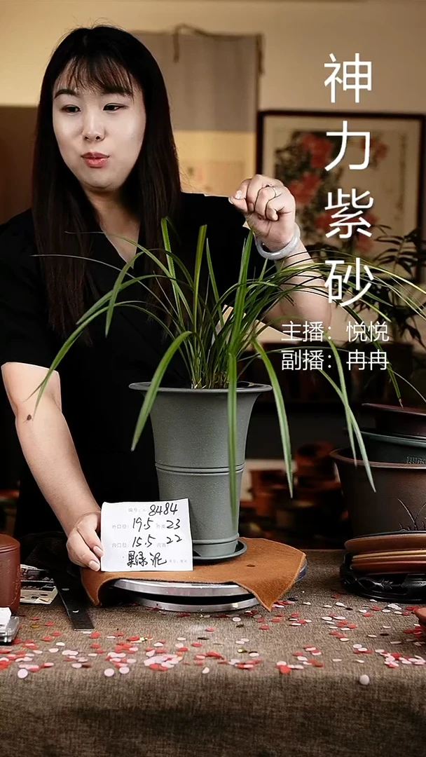 紫砂花盆花卉工艺8484+z果绿