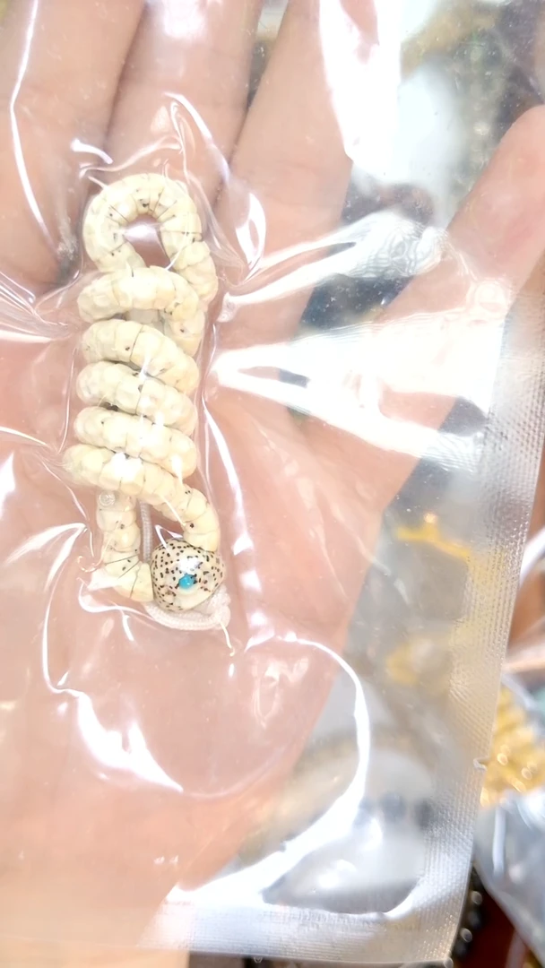 星月菩提手串x***?无相大肠找星星6mm