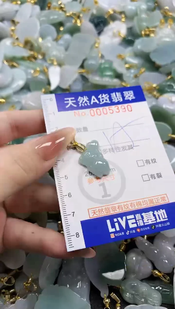 颈饰未镶嵌翡翠天然A货翡翠