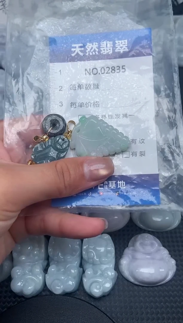 颈饰未镶嵌翡翠纯天然A货翡翠2835