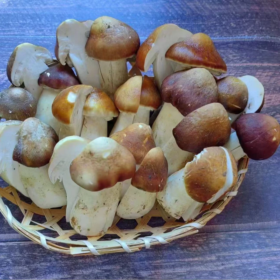 崇明赤松茸一斤装三斤装