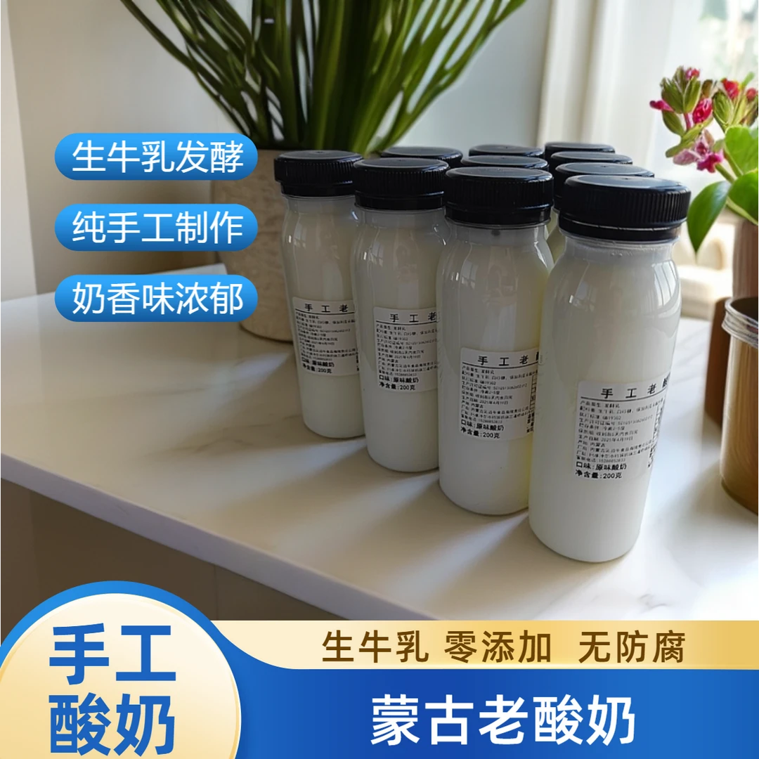 手工老酸奶纯牛奶发酵无添加无防腐奶香浓郁纯天然奶源蒙古酸奶