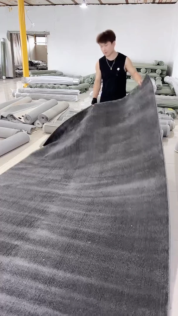 客厅床边卧室轻奢防水家用简约卧室客厅地毯