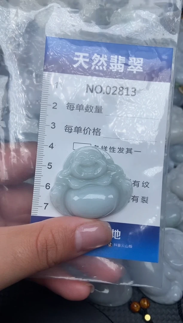 颈饰未镶嵌翡翠纯天然A货翡翠2813
