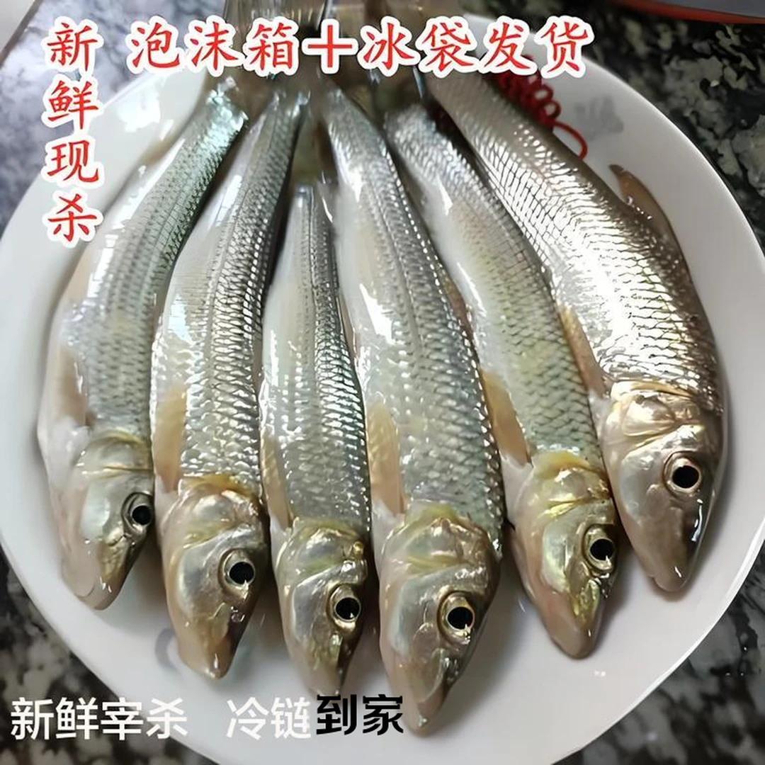 【寿乡鲜鱼】世界长寿乡新鲜小鱼新鲜鱼棍子鱼小白条