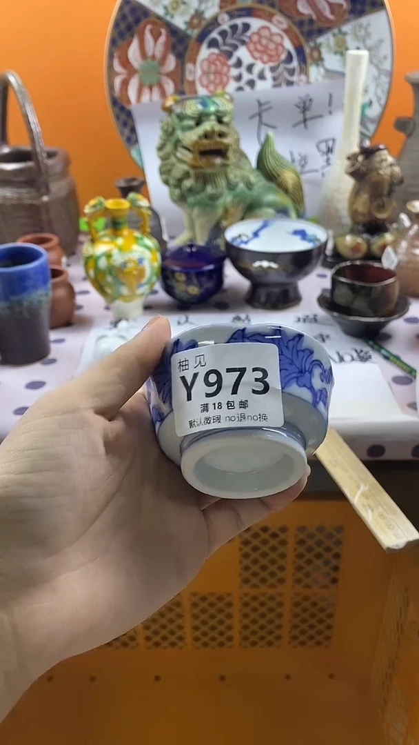 瓷片大*默认微瑕，谨慎参拍973