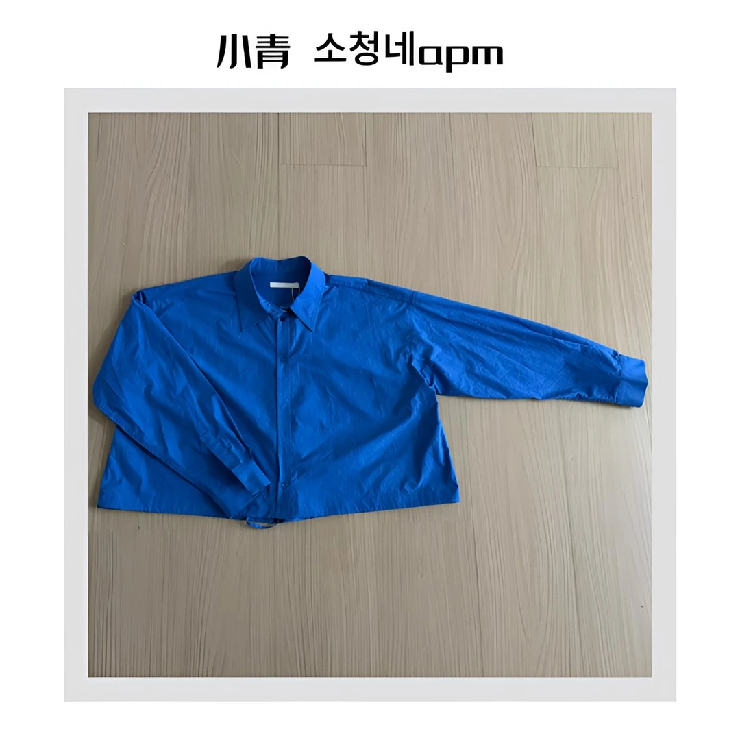 韩国东大门 SELF/纯色翻领简单衬衫款