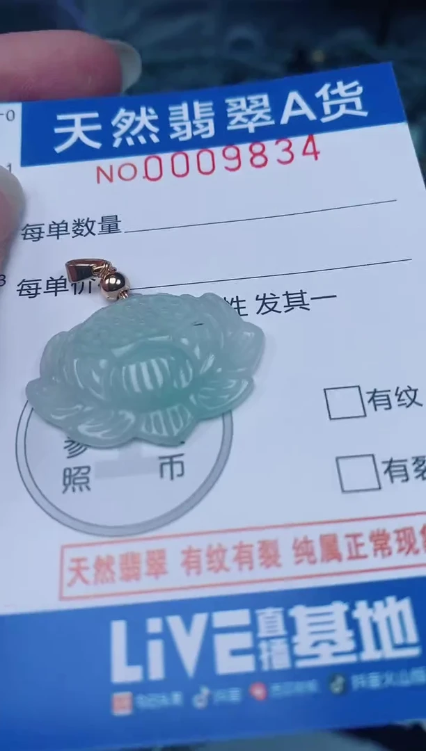 颈饰未镶嵌翡翠00009834