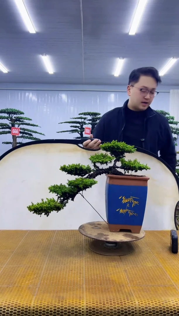 无花朵00000000000000