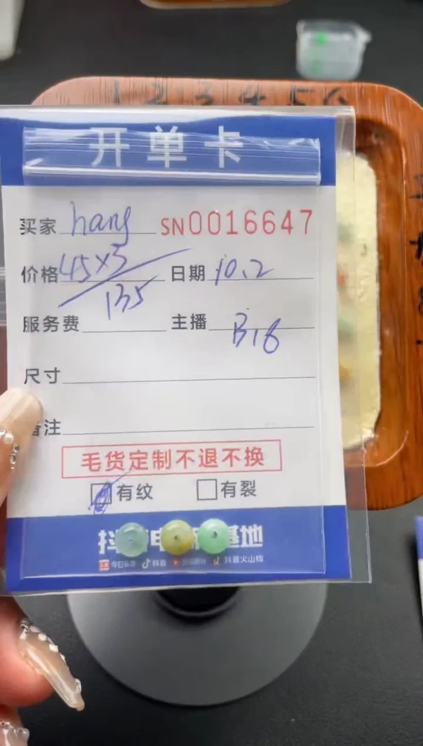 颈饰未镶嵌翡翠h**g00016647