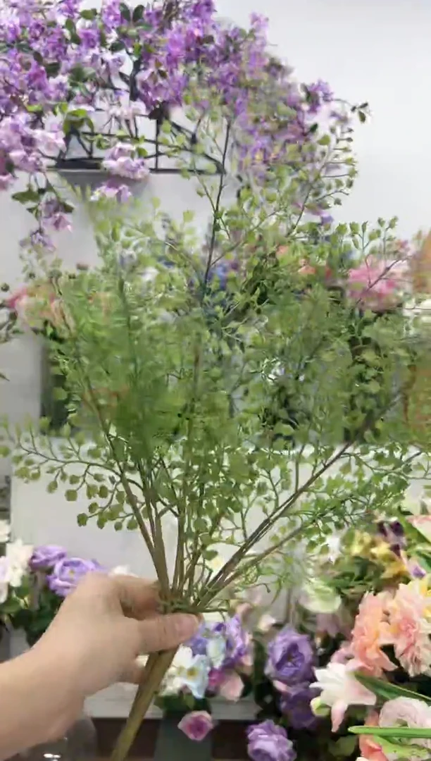 2枝铁线莲草