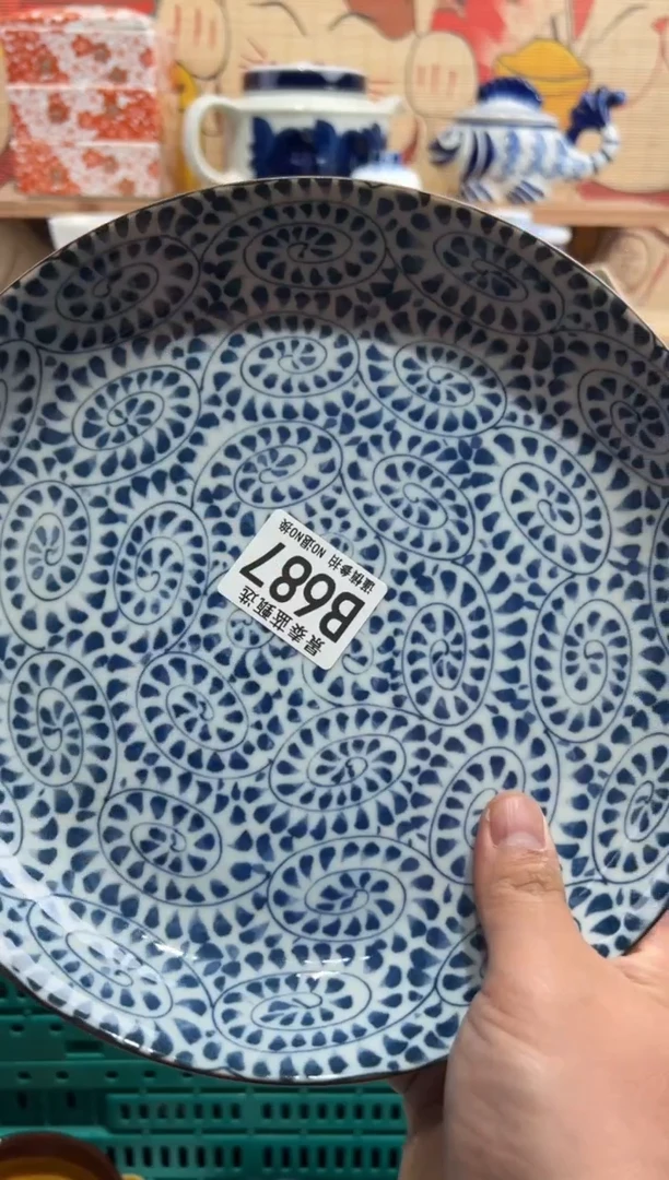 瓷片          B687