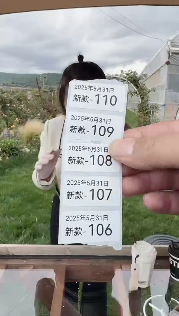 东云多肉园新款-106其中一份2颗肉盲盒