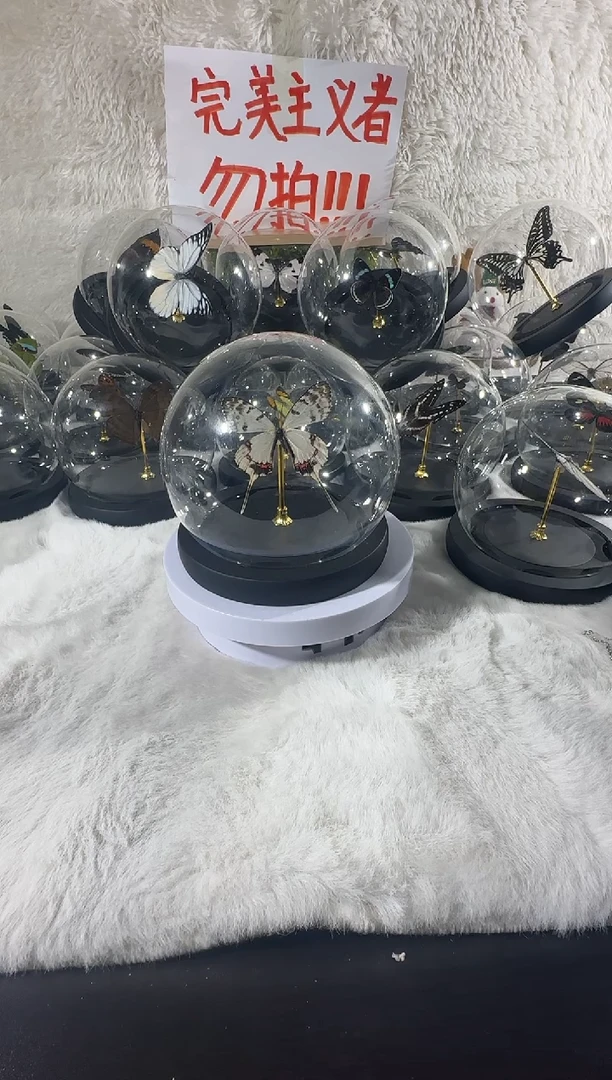 丝带凤蝶水晶球