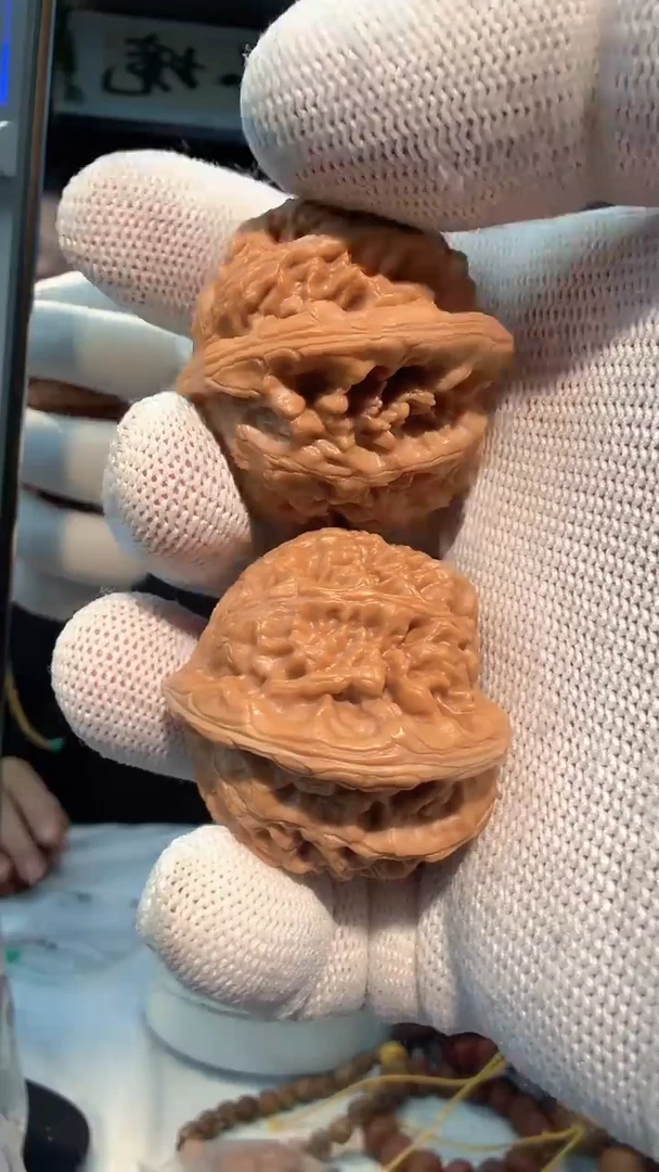 把件龙脊菩提011 宫灯42-38