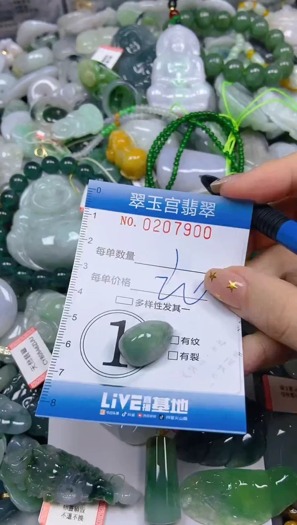 颈饰未镶嵌翡翠闪购C0207900