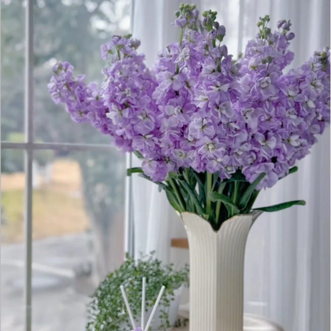 次日达 -【紫色紫罗兰】5枝紫罗兰鲜花鲜切花家居用花批发任意满两单顺丰包邮三单送花瓶今天拍明天到