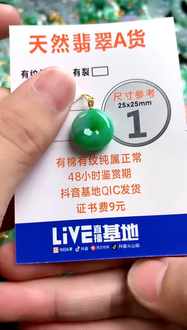 颈饰18K金镶嵌翡翠0248011165