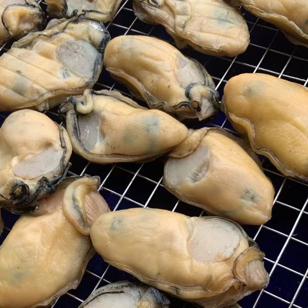 优质生晒金蚝 25-28个/斤 6成干无抽油 儿童煲汤金蚝干 海鲜干货 顺丰包邮