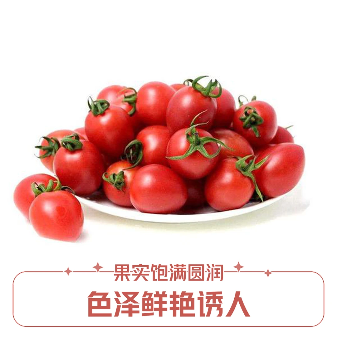 果切小番茄500g 鲜果小时达
