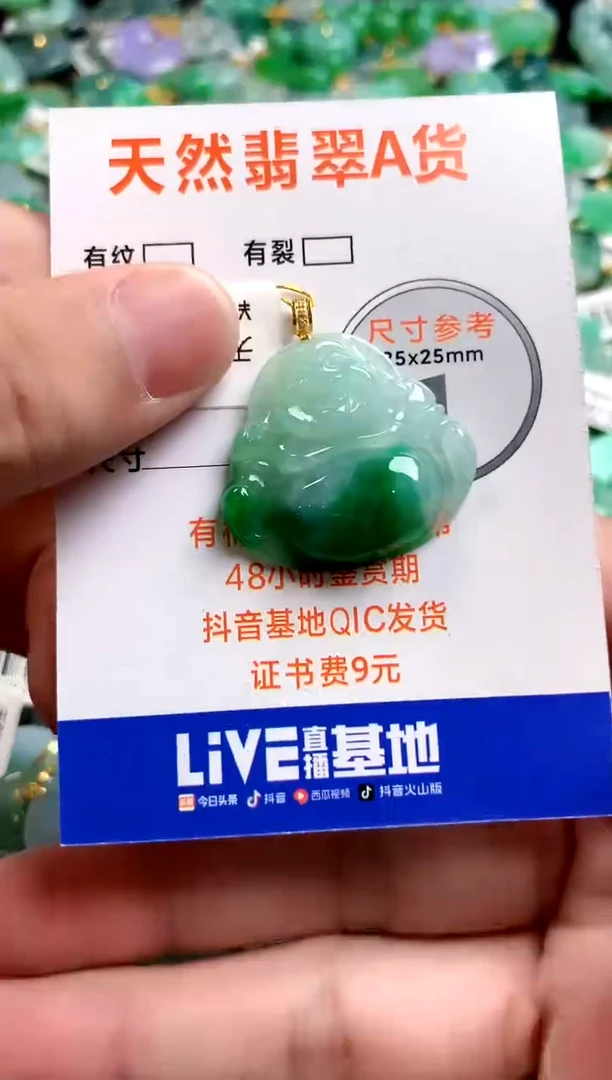 颈饰18K金镶嵌翡翠0029911453