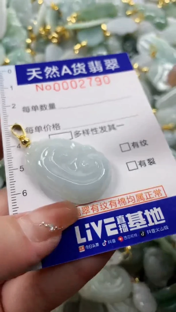 颈饰未镶嵌翡翠天然A货翡翠