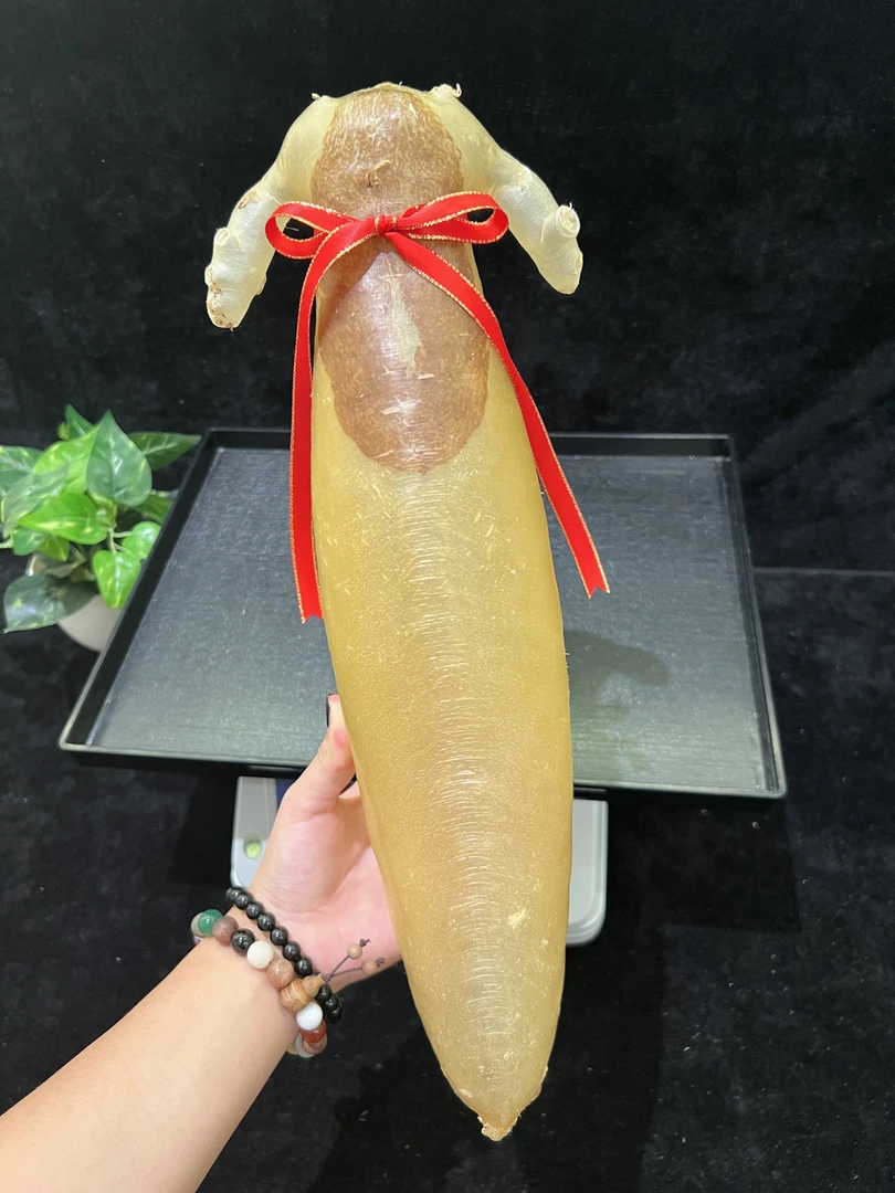 鱼胶花胶直播福利专属