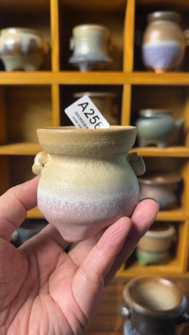 256 内口5【多肉花盆多肉盆】