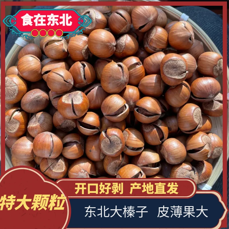 东北大榛子 超大开口笑 个大饱满圆润皮薄