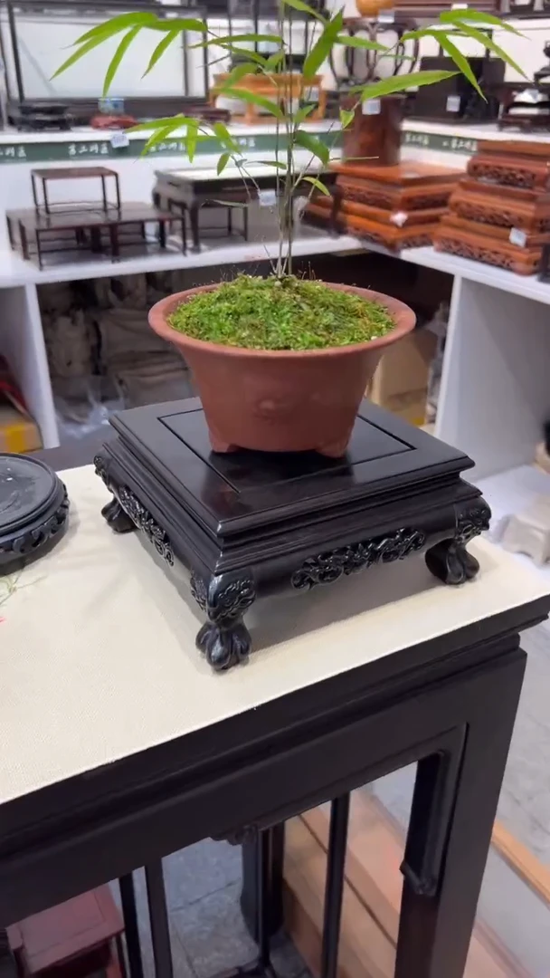 【闪购商品】紫砂1紫砂紫砂紫砂紫砂紫砂