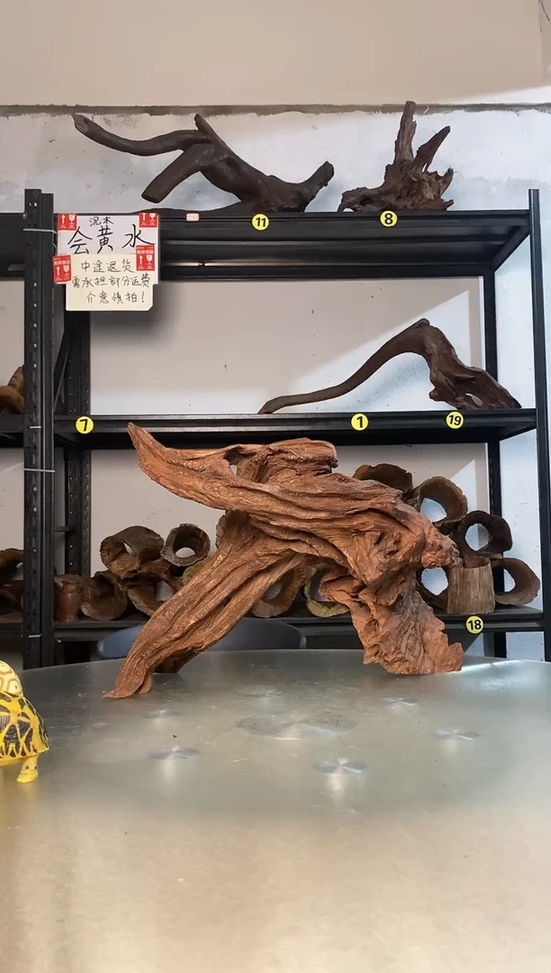 潜*?鱼缸爬宠造景素材457