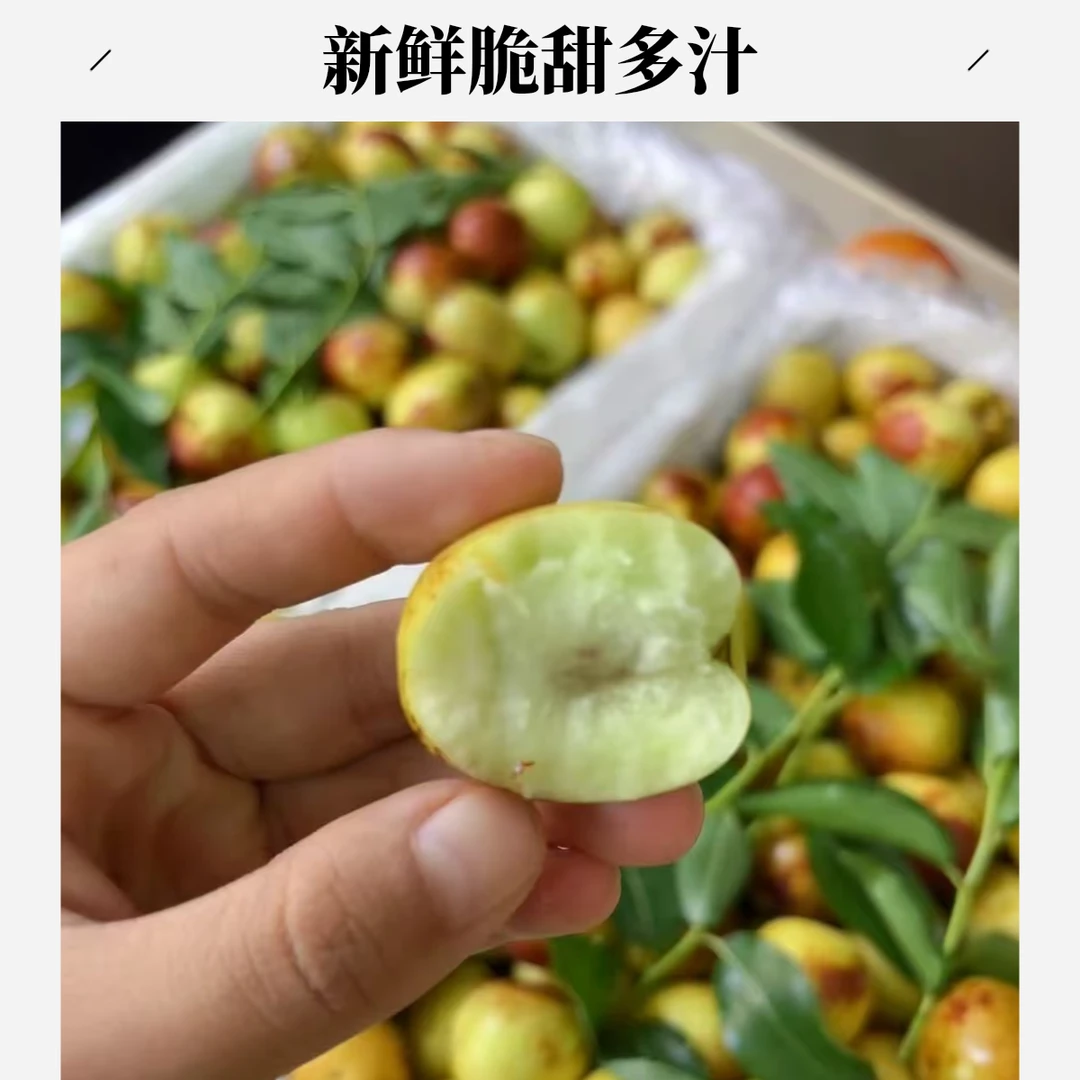 【小时达送上门】新疆冬枣1000g新疆维吾尔自治区