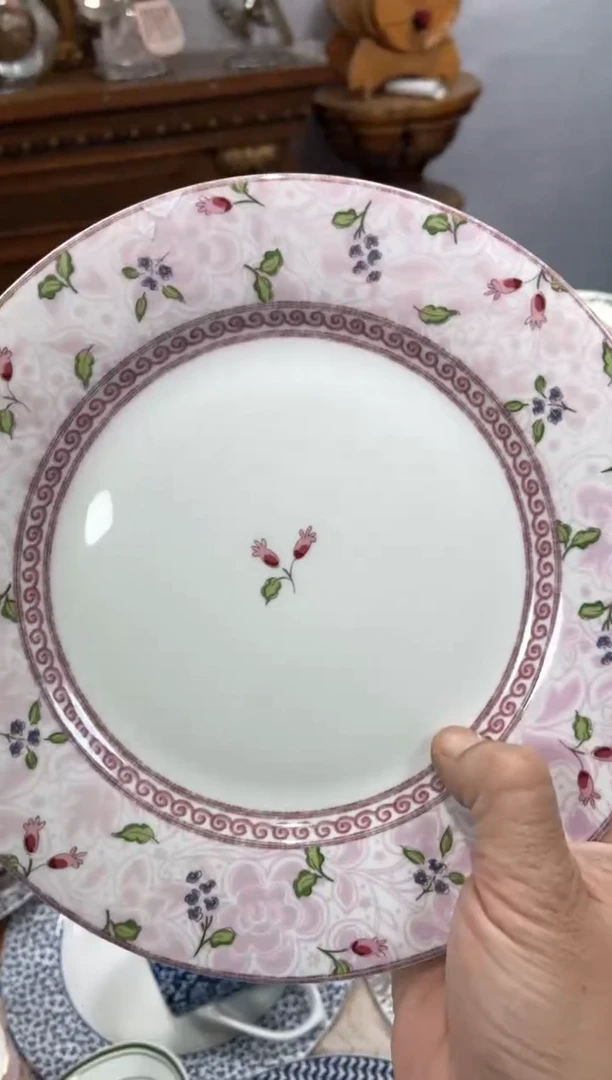 【闪购商品】瓷片CC541陶瓷没有完美无瑕陶瓷1个8寸