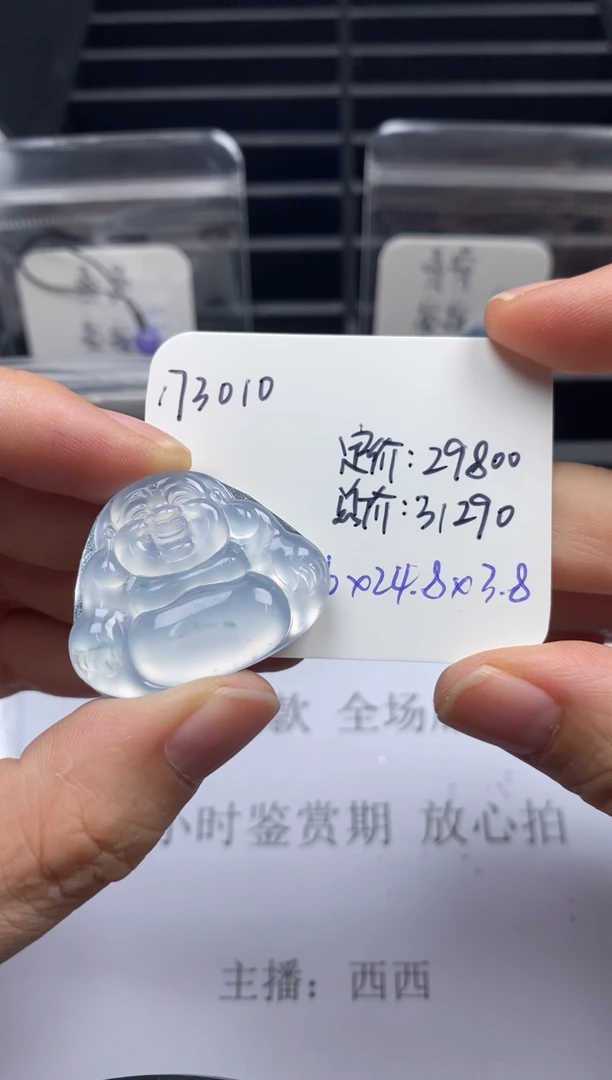 吊坠(不含链)未镶嵌翡翠173010